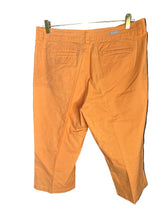 Load image into Gallery viewer, Zero calorie Mango Sherbert Capris| by Woolrich| Size 12
