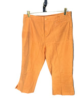 Load image into Gallery viewer, Zero calorie Mango Sherbert Capris| by Woolrich| Size 12

